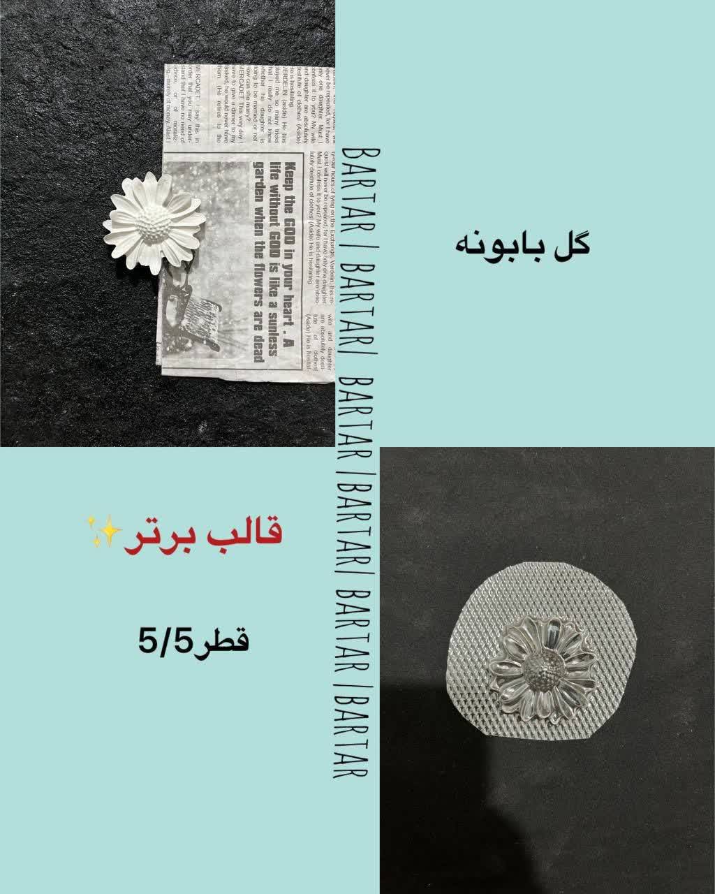 IMG_20260611_155226_151 گل بابونه - تصویر 1